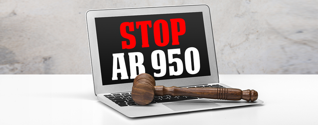 Stop California AB 950: The Bill That Threatens Small Business Websites Blog Banner